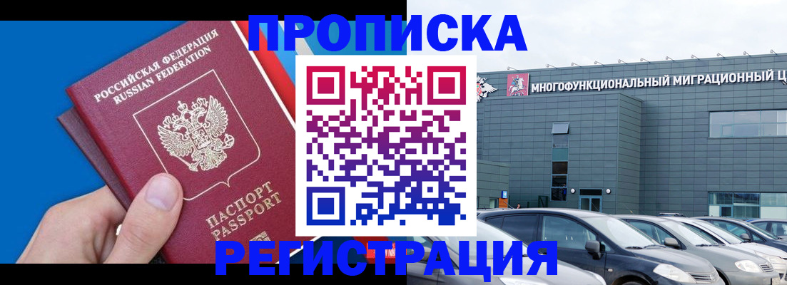 прописка для школы в Губкинском